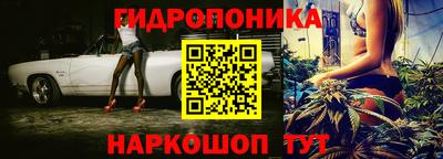 шишки Кулебаки