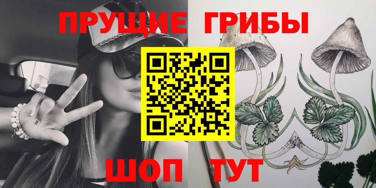 Псилоцибиновые грибы Psilocybine cubensis  Вход с VPN  Кирово-Чепецк 